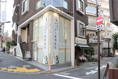 病院外観 Exterior