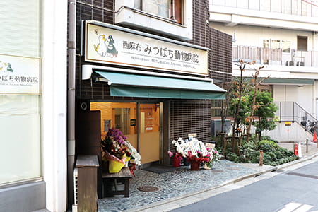 入口 Entrance